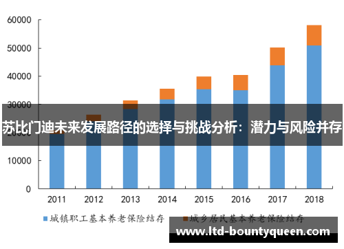 苏比门迪未来发展路径的选择与挑战分析：潜力与风险并存
