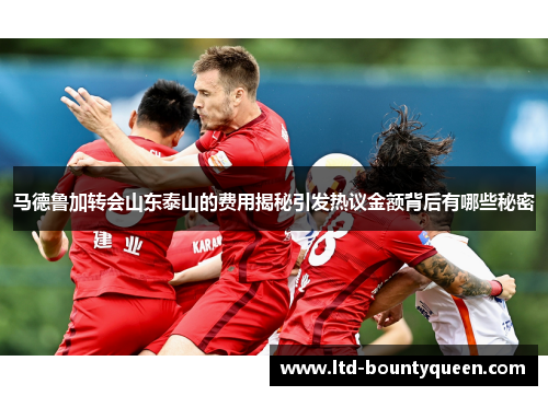 马德鲁加转会山东泰山的费用揭秘引发热议金额背后有哪些秘密